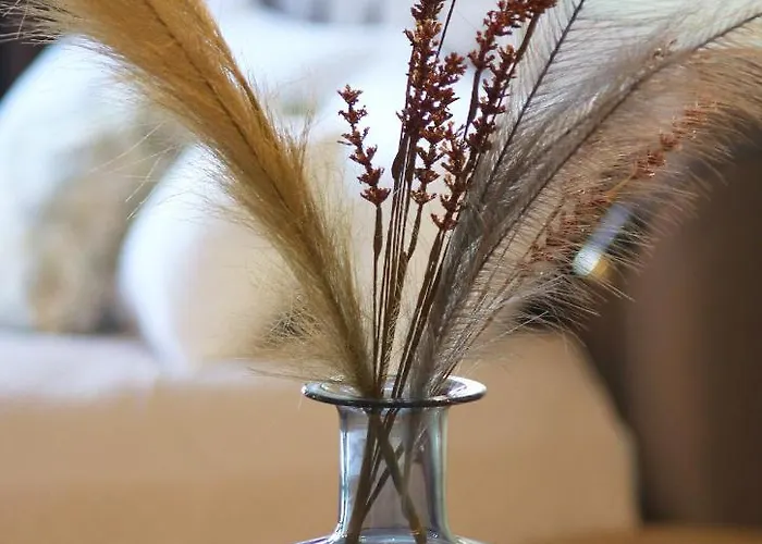 Falcon Center 3 Krolewska *