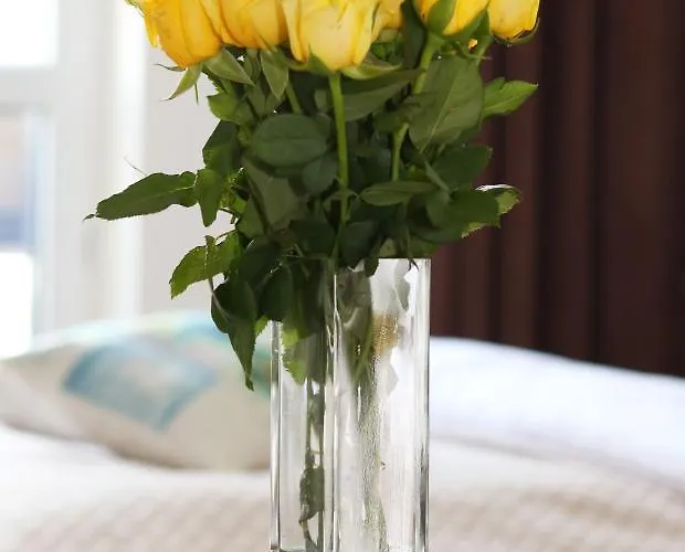 شقة Falcon Center 3 Krolewska