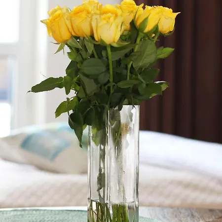 דירה Falcon Center 3 Krolewska